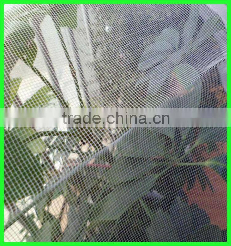 Suntex virgin HDPE anti-insect mesh netting for cultivation of flowers