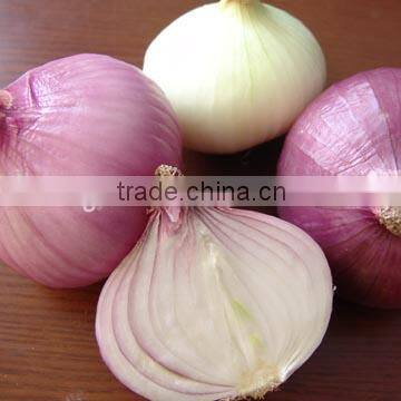 Cleaning onion grading line