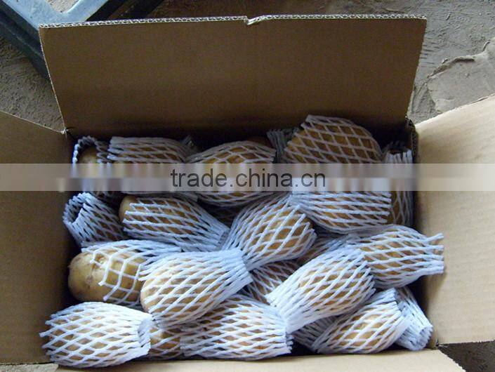 fresh potato for sale/fresh high quality potato hot sale (75-100gram)(100-150gram)(150-250gram up)