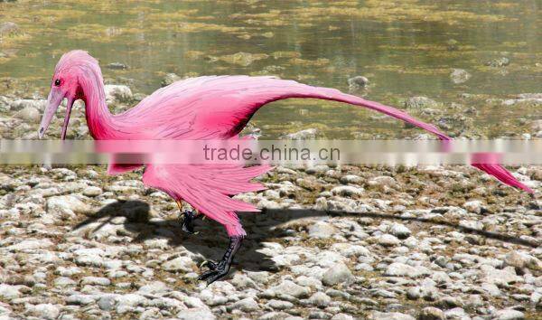 Realistic Dinosaur Skeleton Fossil Of Buitreraptor