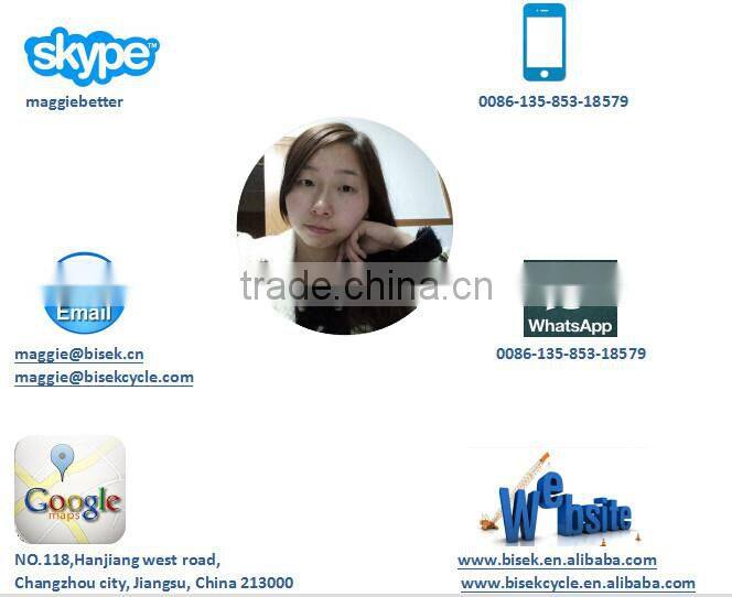 26inch fat tire snow beach cruiser electric bike philippines