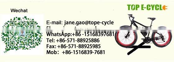 TOP/OEM rechargeable ebike battery 36v10ah lithium ion battery