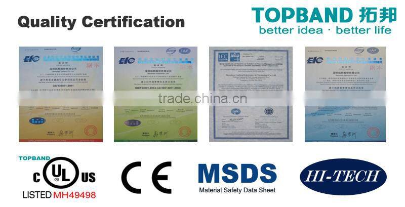 TOPBAND 12Ah Prismatic LiFePO4 Cell