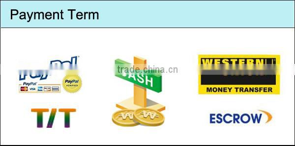 continuous power supply battery 100Wh BP-F100U