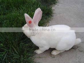 Superior quality feed pellet machine for poultry and livestock