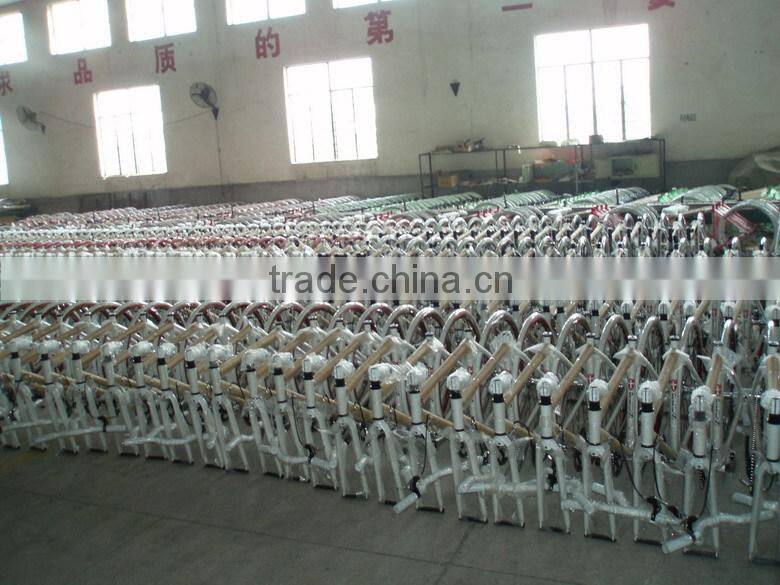 Racing Road Bike Single Speed Fixed Gear Bicycle