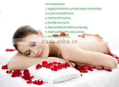 European Style Bedroom Furniture Adult Travel Mattress DS-SA16