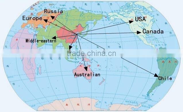 Hot selling grade A frozen chestnuts peeled packed