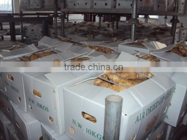 2016 crop air dried ginger at good price