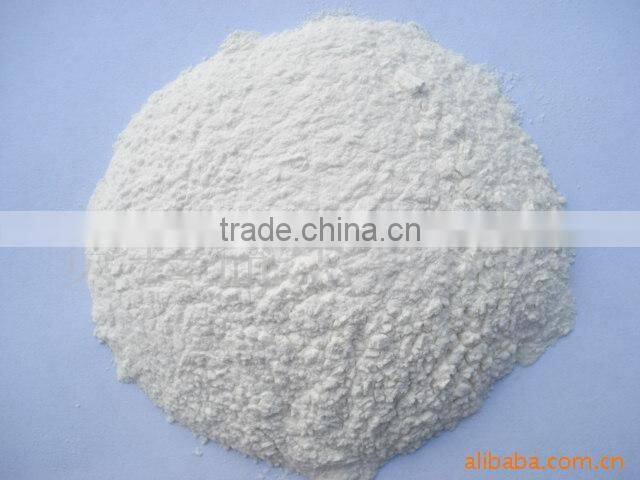 High Mesh Dehydrated Garlic Powder Big Sale
