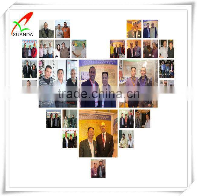 Chinese Watermelon Seeds