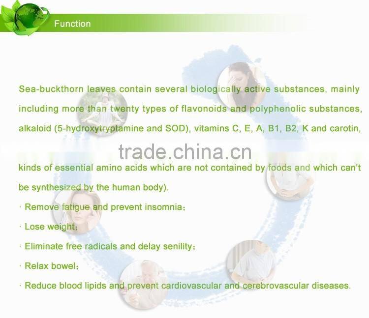 Seabuckthorn tea enhanced immunity green healthy