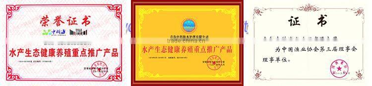 zhongkehai3-D indoor recirculating aquaculture mud crab breed