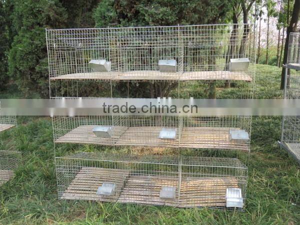 Electro galvanized wire steel pet cage / wire rabbit cage