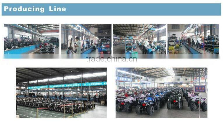 Adults snowmobiles for sale(S-05)