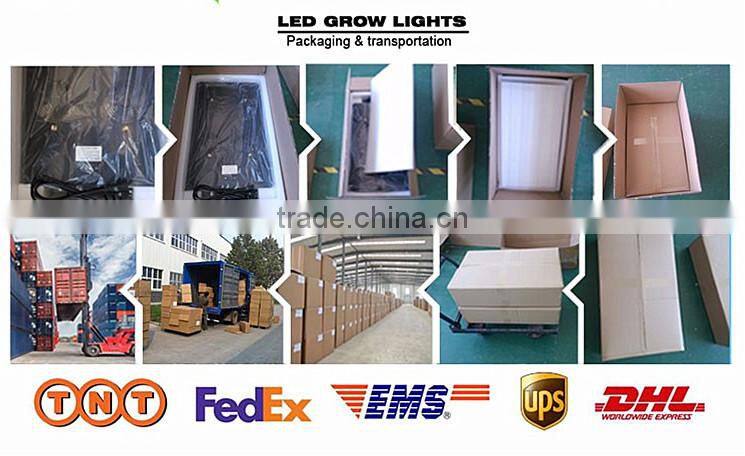 Hot wholesale sunflower type 600W high eneegy indoor grow light