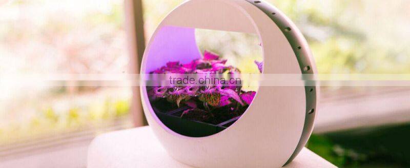 natural purification colorful Intelligent desktop growing system