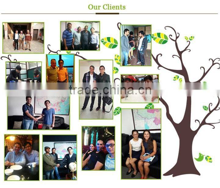 Modern Simple Design Wood Home Furniture Children Study Desk