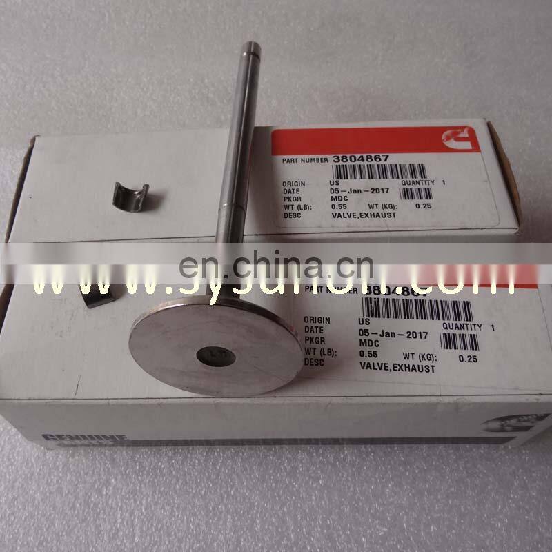 high quality QST30 Diesel Engine Intake Exhaust Valve 3804867 3094158 3093477 3093477 for excavator