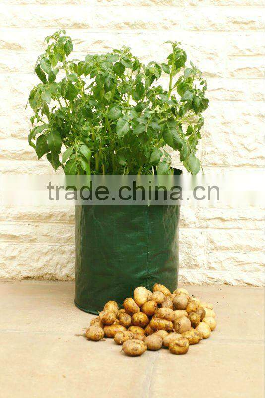 Plastic potato grow bag