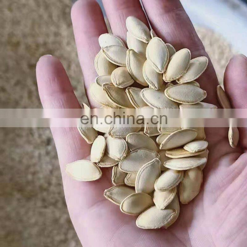 Automatic Chestnut Almond Walnut Pistachio Sunflower Seeds Roaster Price Groundnut Peanut Cocoa Bean Hazelnut Roasting Machine