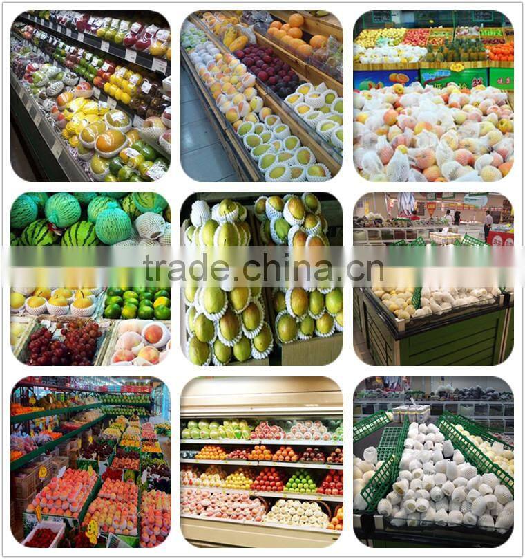 Different Sizes Cheap Plastic Elastic Mesh Netting