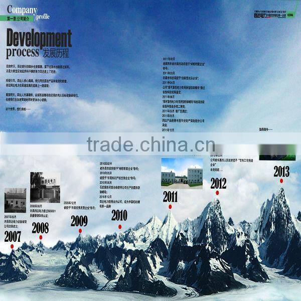 Bolts & nuts with spring & ball theftproof nut