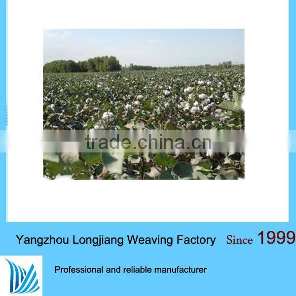 2015 pima Egypyt dyed 100 cotton yarn