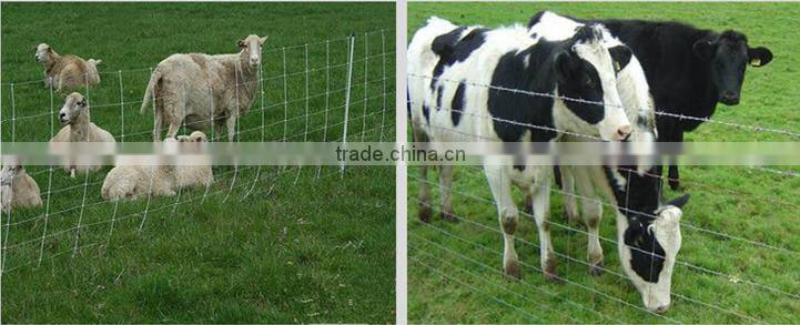 5 feet Hot Dipped Farm Fencing Wire
