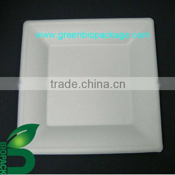Biodegradable Disposable Sugarcane Pulp Square Plate