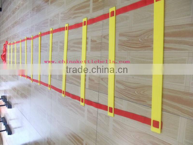 Speed agility ladder