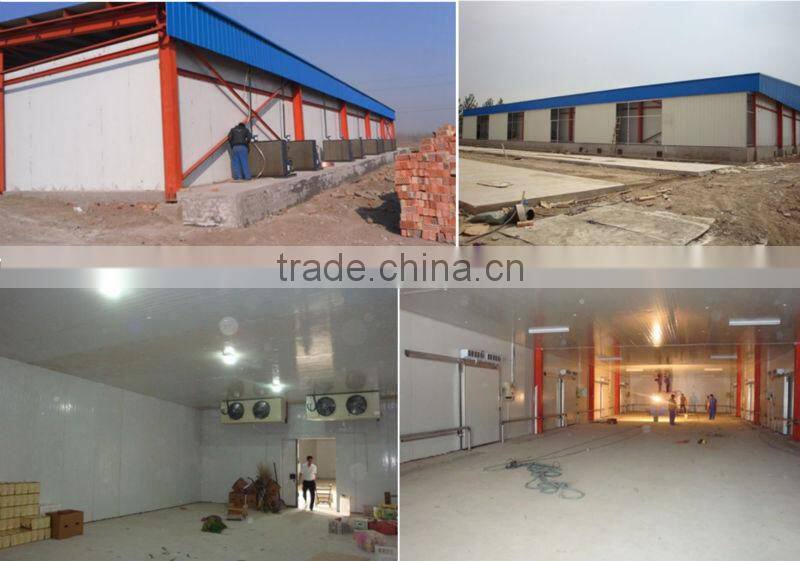 Professional Supplier for 3 hp freezer compressor Freezer room