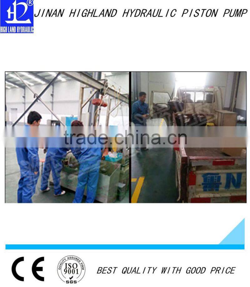 Hot sales hydraulic pumps for fiat tractors