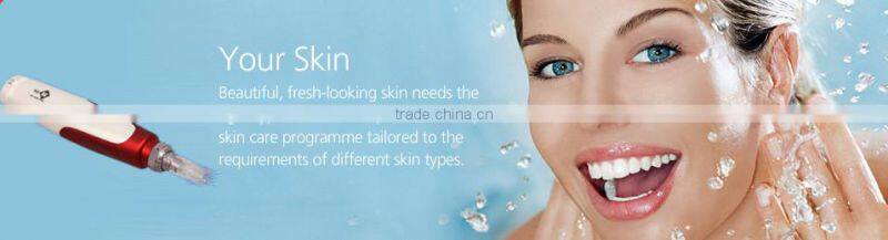 Christmas promotion dermaroller pen 36 or 42 pins pen from Beir DNS60