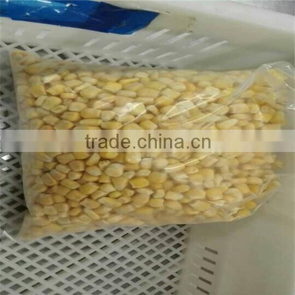 2016 new crop sweet corn kernels with HACCP certification