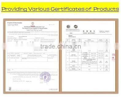 3D 300X600MM 12'*24' Inkjet Printing Wall Tile