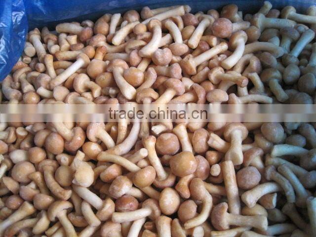 IQF Frozen Nameko mushroom