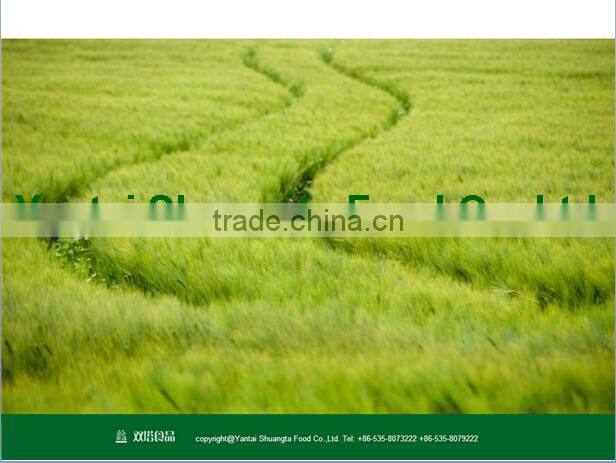 Pea Fiber 100mesh Food Grade 20KG/BAG with ISO22000 Pea Fiber