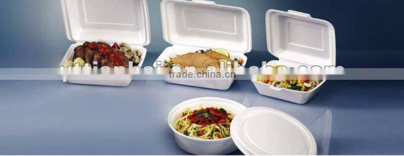 Turnkey project disposable food container production line