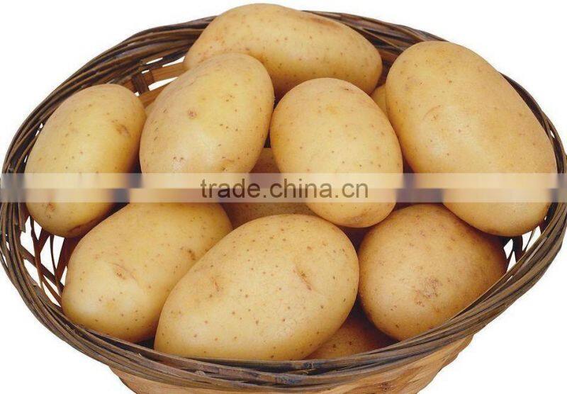 Chinese Fresh Potato