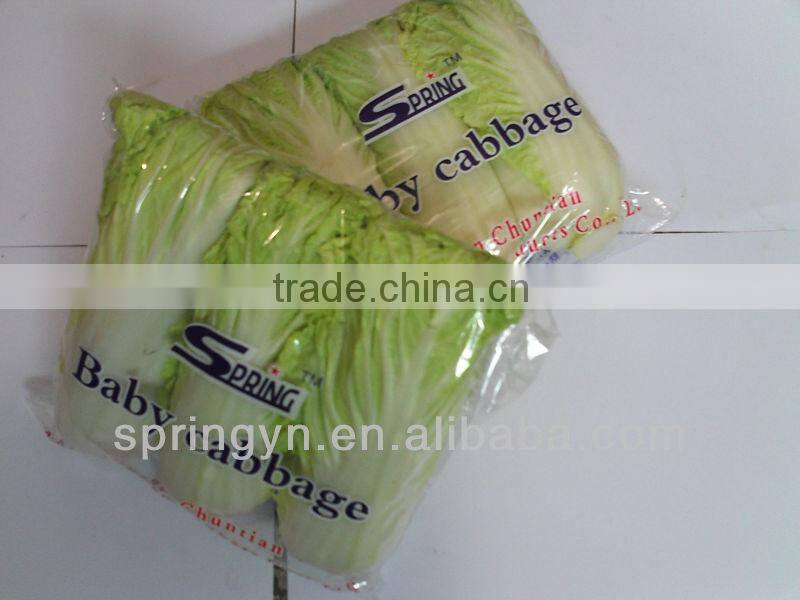 High Quality Fresh Organic Cabbages Good Price Chinese Cabbage for Sale