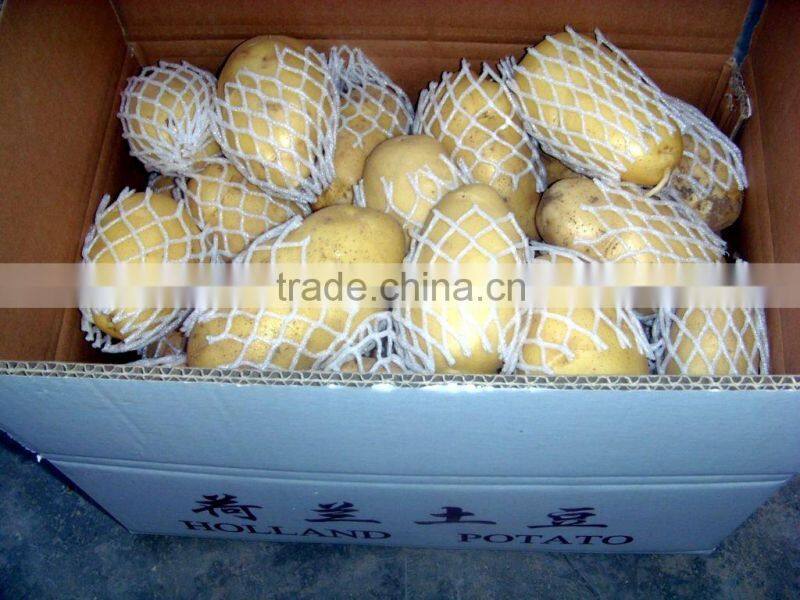 2014 Fresh Potato Price, 150g, 200g, 250