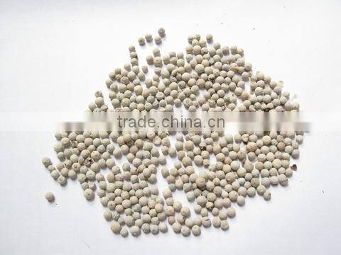 New Crop High Quality Black Pepper from Vietnam