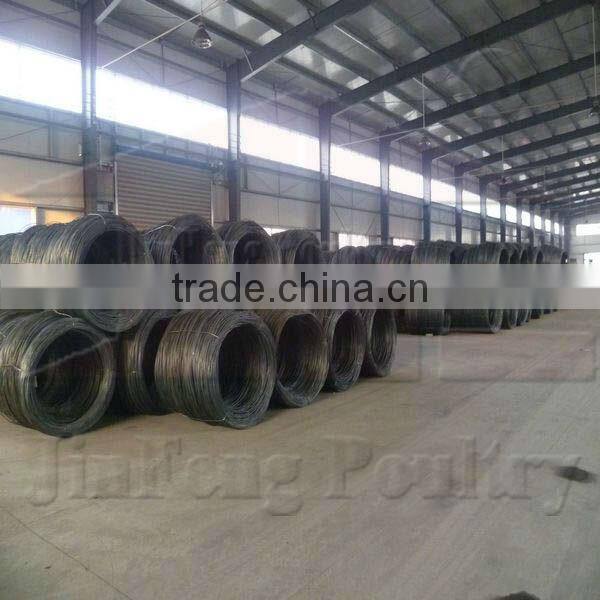 H Type Pullet Rearing Equipment 3tiers