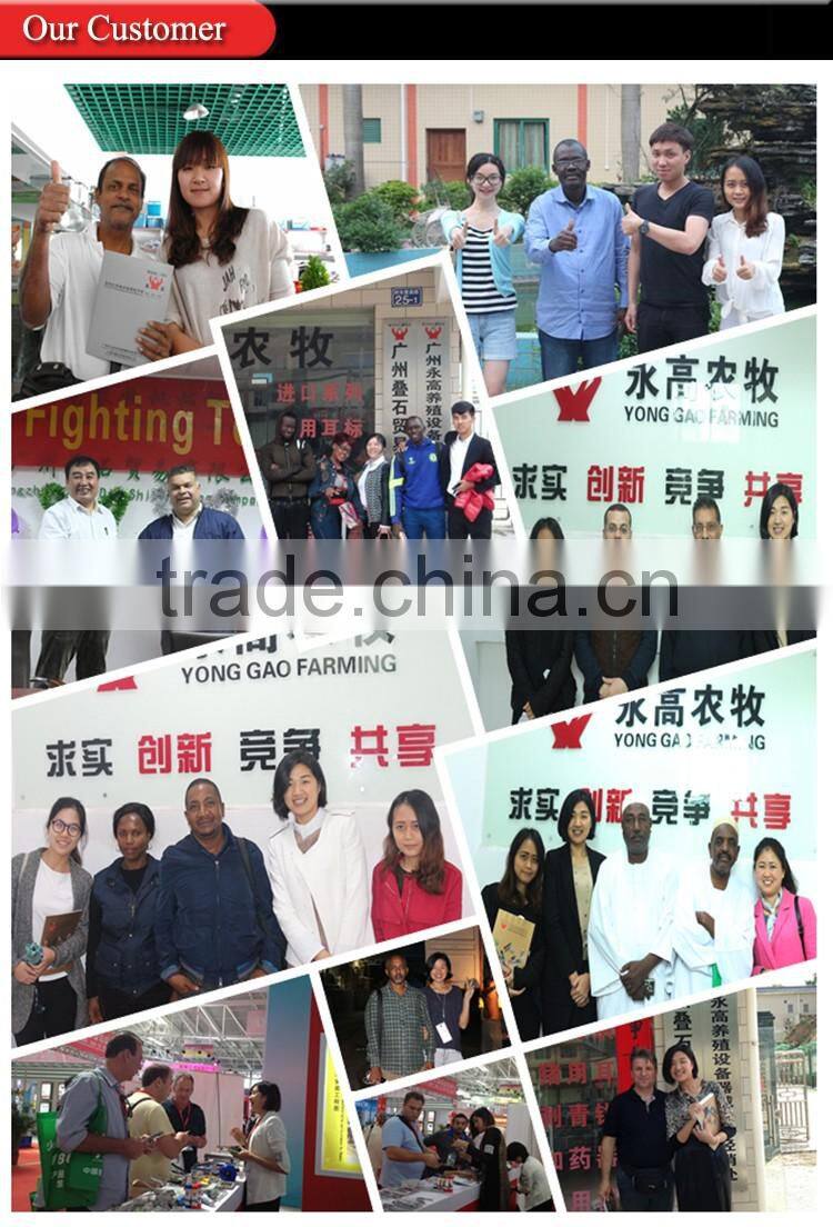 Accurate Automatic Plastic Veterinary Injection 2ml/5ml Syringe