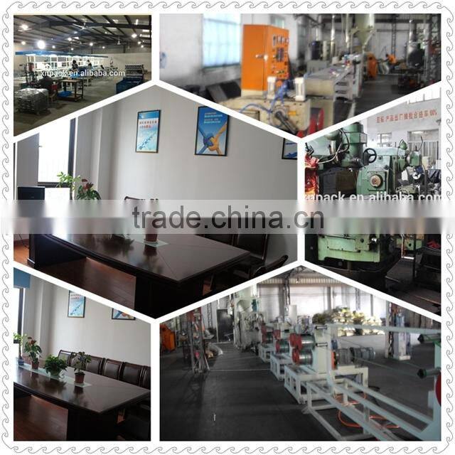 XINNAI'S Polyester (PET) China Made Plastic Strapping