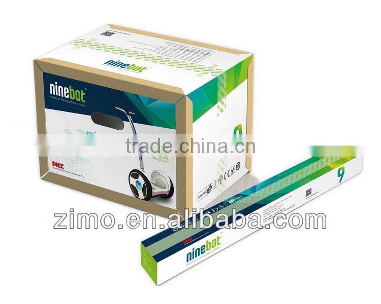 Self Balancing Electric Personal Transporter