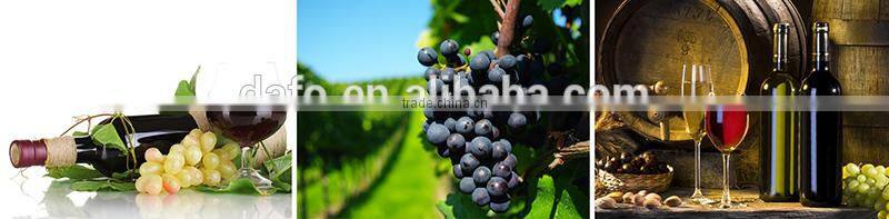 stainless wine tanks for sale