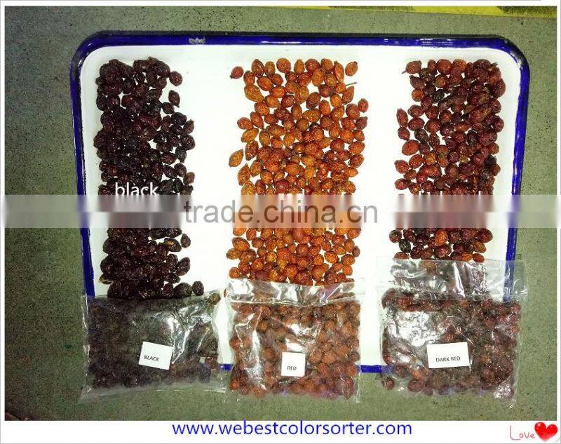 Excellent quality RGB color sorter with engineer overseas servive available