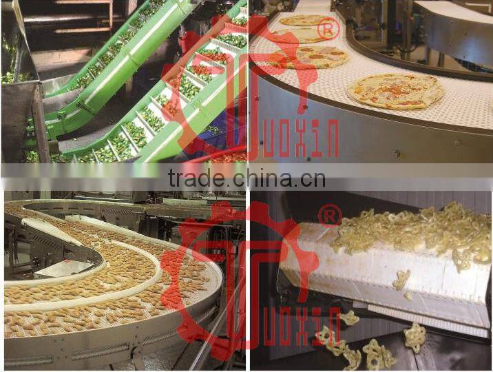 FTM1060 Plastic Flat Top Magnetflex ChainBelt